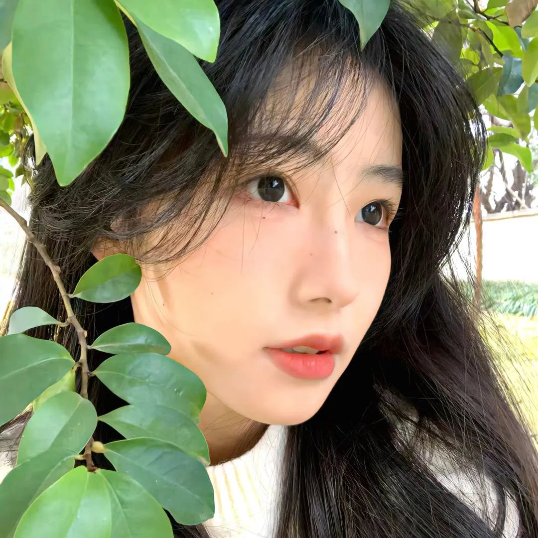 嫂子我真无敌了